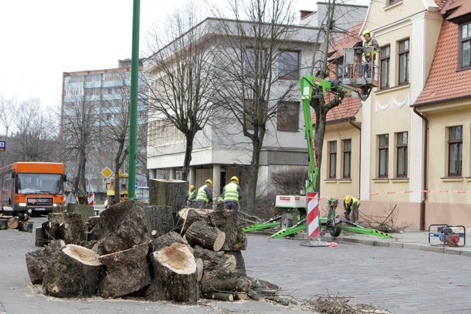 Dėl J.Janonio gatvėje nupjautų medžių – įtarimai