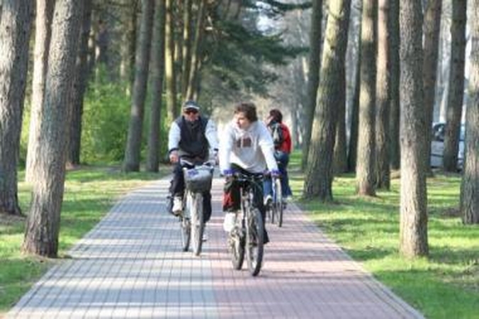 Saugu: Girulių girioje važinėtis dviračiais bus įmanoma ir vėlyvą vakarą – čia apšvietimas bus įjungiamas anksčiau.