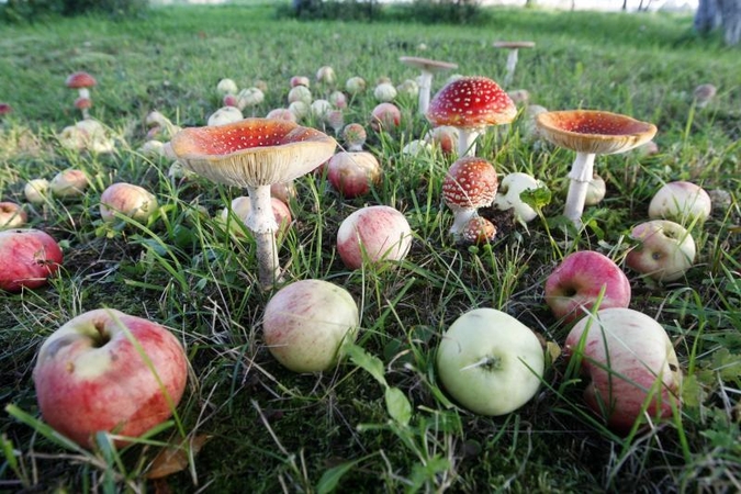 Savaitgalį Klaipėdoje – lietinga ir vėjuota  