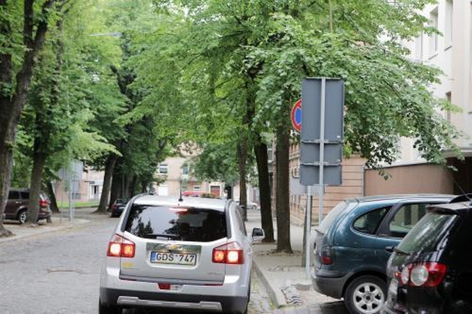 Ženklus slepia medžių šakos