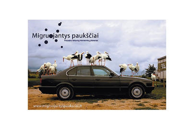 Antrą kartą suburs „migruojančius paukščius“