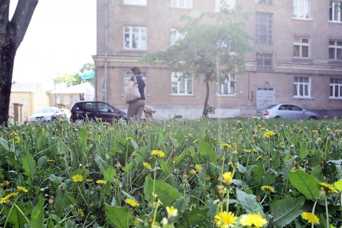 Klaipėdos gyventojų laukia naujas mokestis