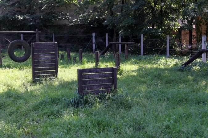 Šunų vedžiojimo aikštelės - vilniečių galvos skausmas