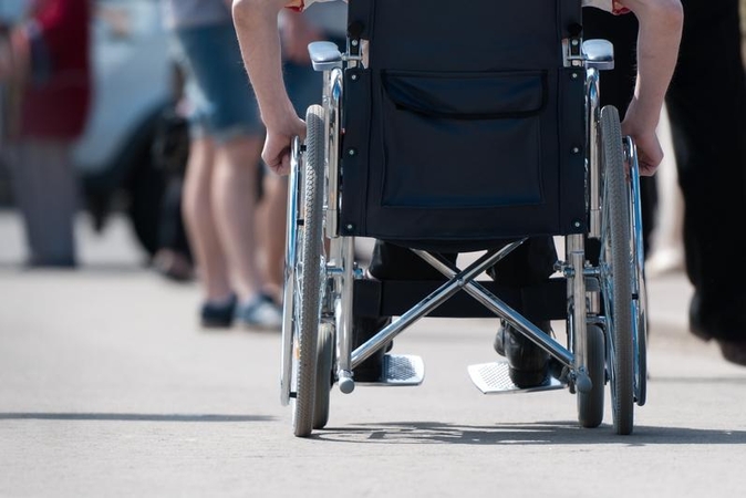 Ar sąžinės ir doros nereikės įrašyti į Raudonąją knygą?