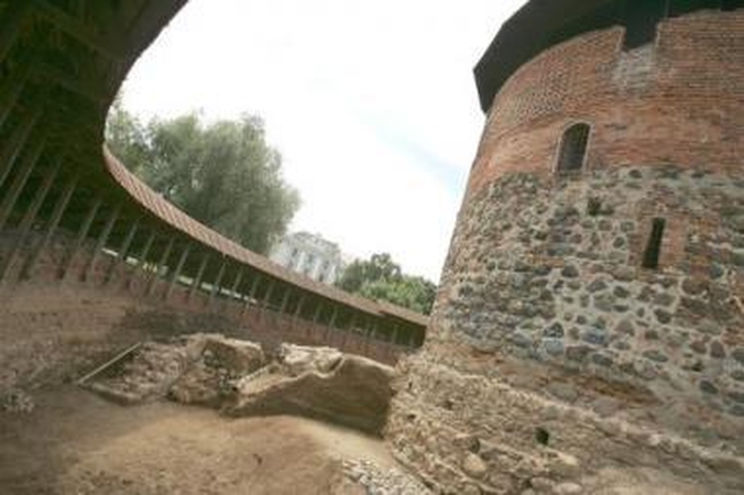 Pagalba: į diskusiją dėl pilies atstatymo projekto atvykusi D.Varnaitė ragino taikytis.