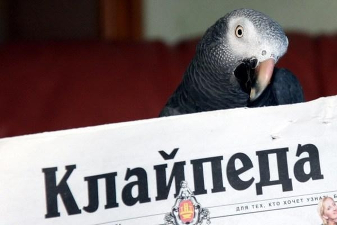 Laikraštis "Klaipėda" Rusijoje atkūrė miesto įvaizdį