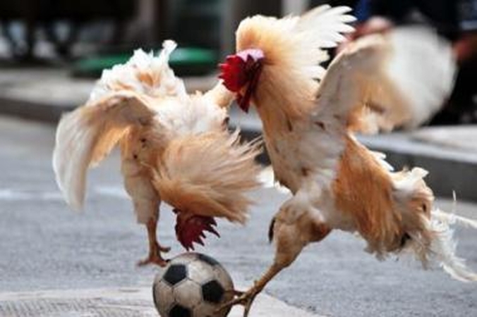 Po Pasaulio futbolo čempionato prisiminsime ir futbolą?