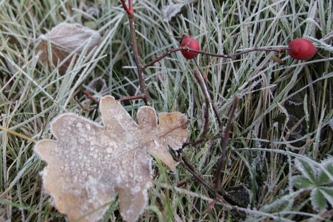 Ilgai nenakvojęs po sniegu lapkritis