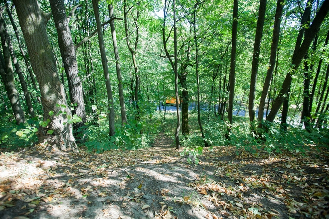 Ąžuolyno parke – skaudi nelaimė 