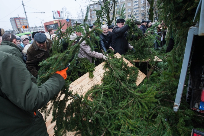 Kaune per grumtynes dėl eglišakių sulaužyti stalai