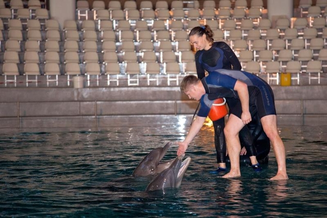 Į Klaipėdą sugrįžusios delfinės treneriams jau rodo triukus 