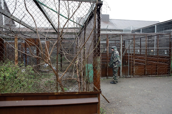 Iš šalia Klaipėdos esančio „Mini Zoo“ konfiskuoti nelegaliai laikyti gyvūnai